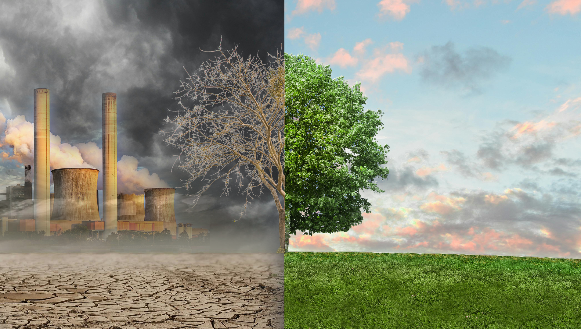 Greenwashing: let's be real